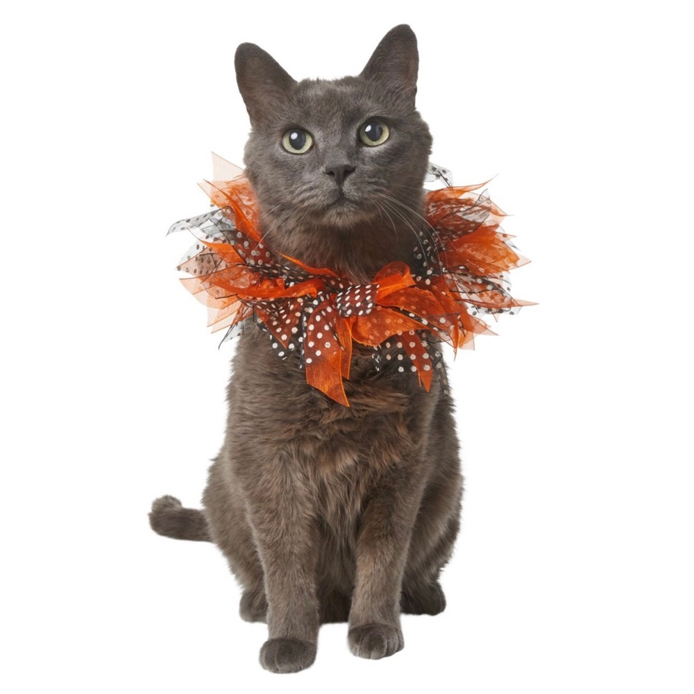 Halloween cat ruffle collar costume accessory